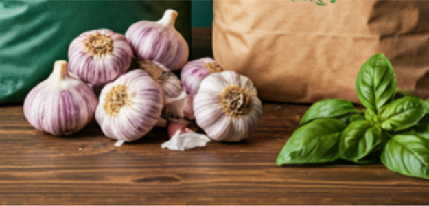cropped-banner-alho